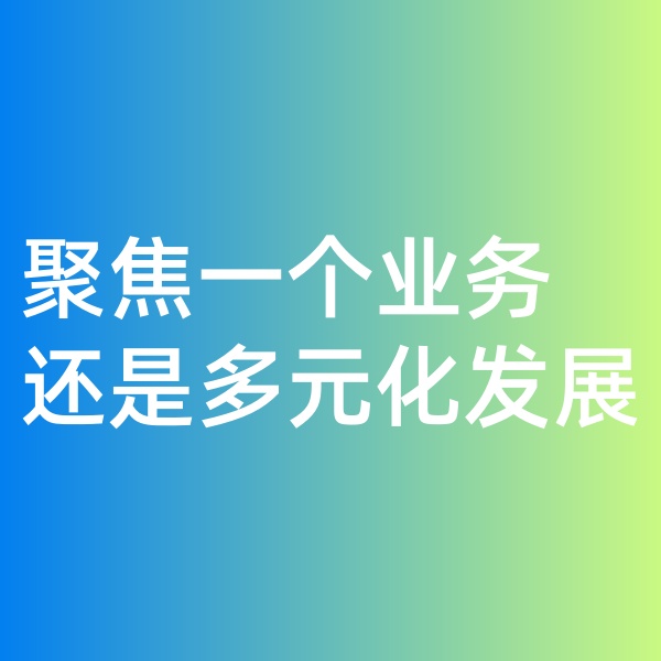 鈀碳回收, 聚焦一個業(yè)務(wù)，還是多元化發(fā)展